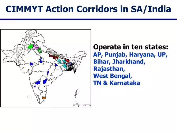 cimmyt action corridors in sa india