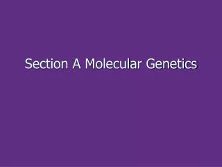 Section A Molecular Genetics