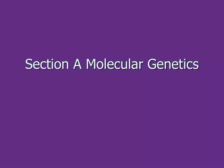 section a molecular genetics