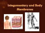 Integumentary and Body Membranes - slide 1