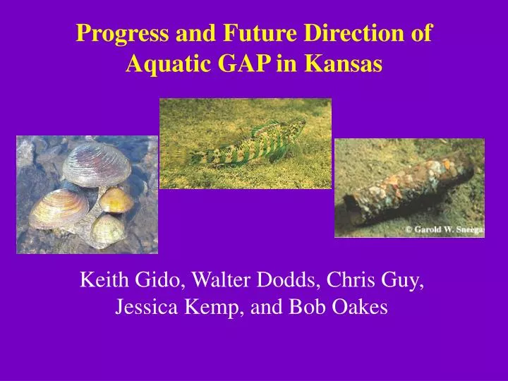 progress and future direction of aquatic gap in kansas