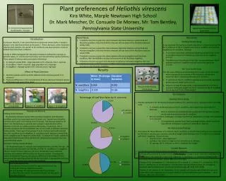 Plant preferences of Heliothis virescens Kira White, Marple Newtown High School