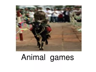 Animal games