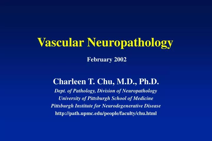 vascular neuropathology february 2002