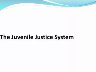 The Juvenile Justice System