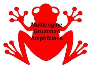 Multiengine Grumman Amphibians
