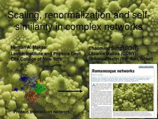 Scaling, renormalization and self-similarity in complex networks