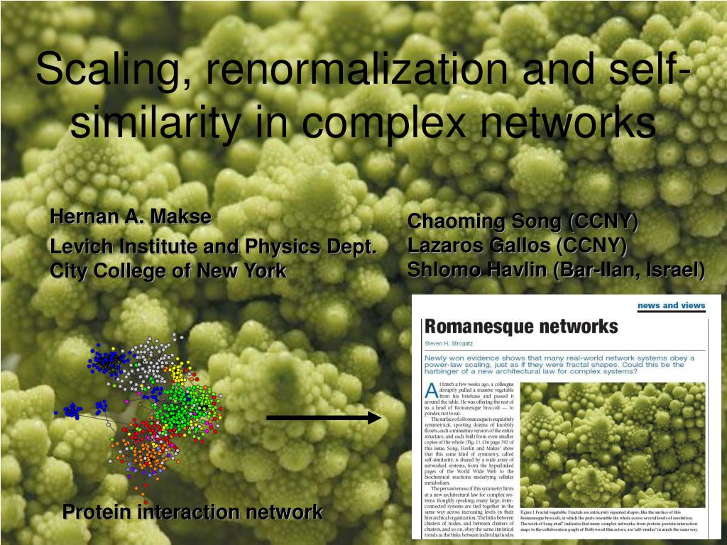 Renormalization In A Nutshell: Feynman Renormalization Chart – VFVZFB