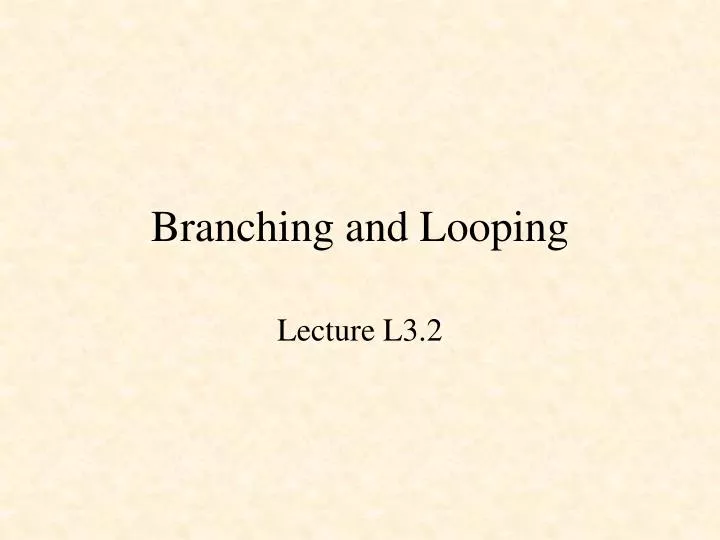 branching and looping