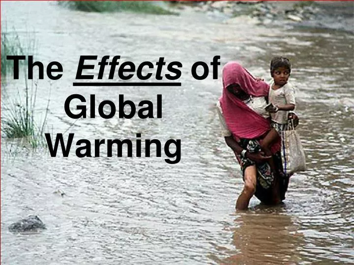 the effects of global warming