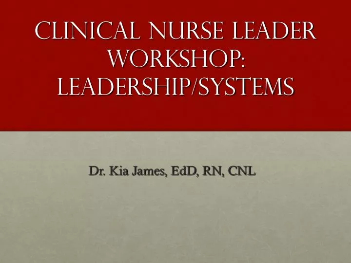 clinical nurse leader workshop leadership systems