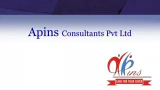 Apins Consultants Pvt Ltd