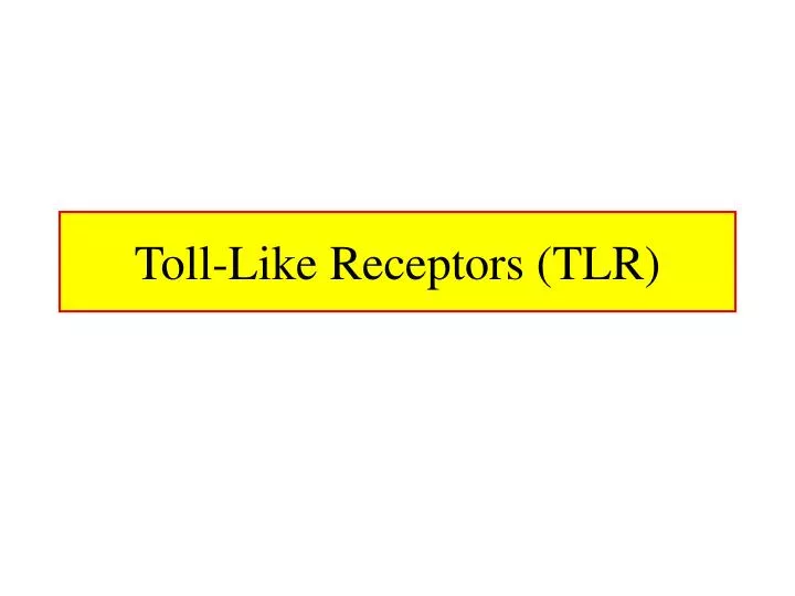 toll like receptors tlr