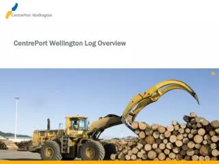 CentrePort Wellington Log Overview