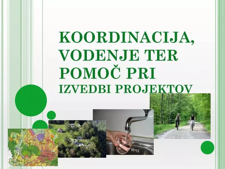 koordinacija vodenje ter pomo pri izvedbi projektov