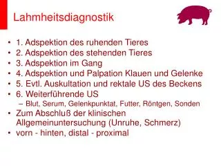 lahmheitsdiagnostik