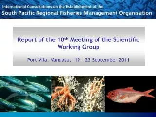 Report of the 10 th Meeting of the Scientific Working Group