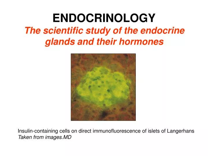endocrinology the scientific study of the endocrine glands and their hormones