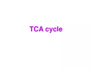TCA cycle