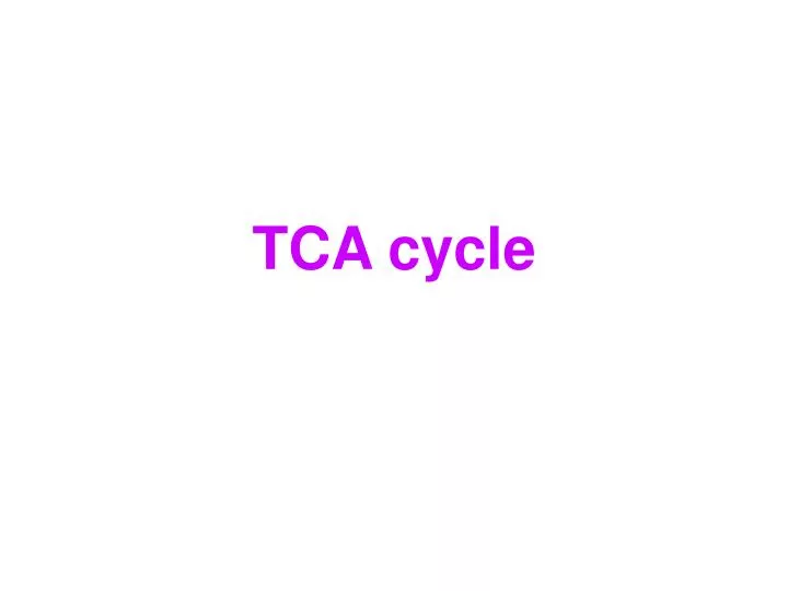 tca cycle