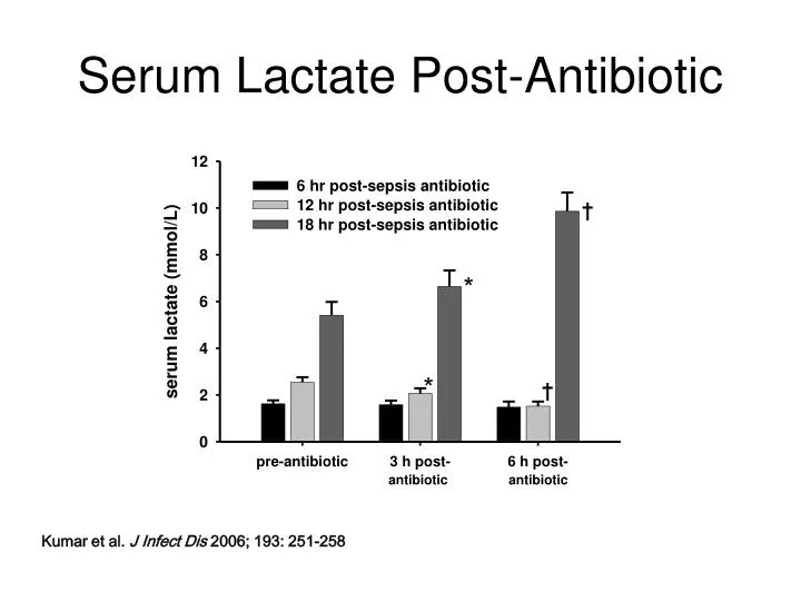 serum lactate post antibiotic