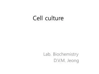cell culture