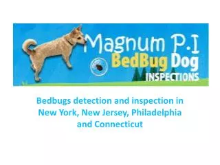 Bedbugs inspection in New York, New Jersey, Philadelphia