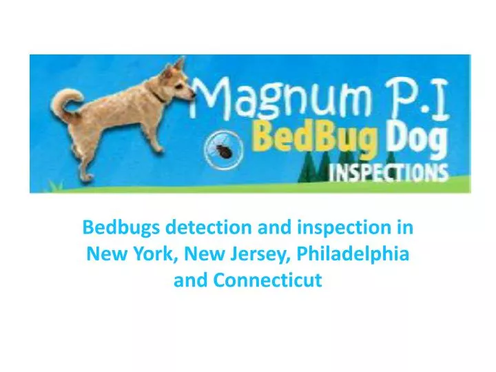 bedbugs detection and inspection in new york new jersey philadelphia and connecticut