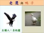 老 鷹 與 鴨 子 - slide 1