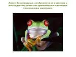 Раскрыть особенности земноводных в связи со средой их обитания на примере лягушки - slide 1