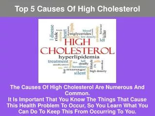 Major Causes of High Cholesterol
