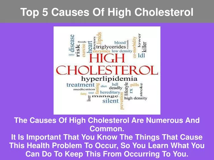 top 5 causes of high cholesterol