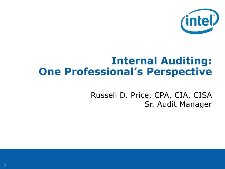 internal auditing one professional s perspective