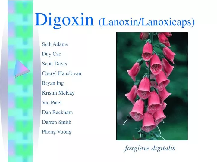 digoxin lanoxin lanoxicaps
