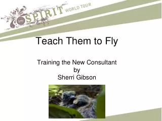 Teach Them to Fly Training the New Consultant by Sherri Gibson