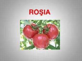 ro ia
