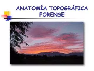 anatom a topogr fica forense