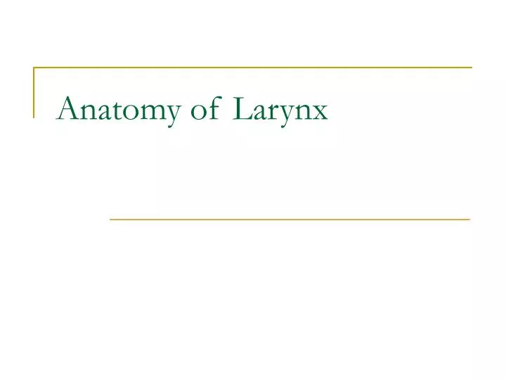 anatomy of larynx