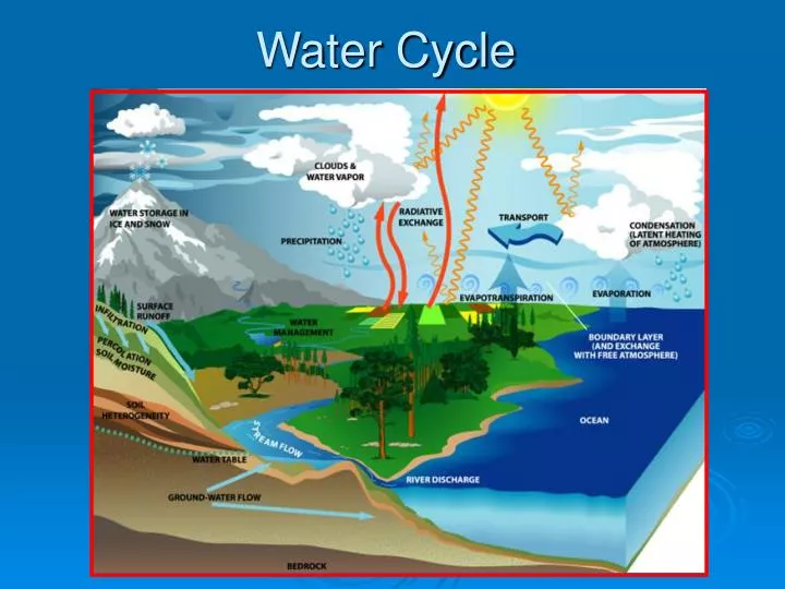 water cycle