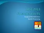 APIC 2013 Ft Lauderdale FL - slide 1