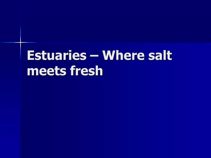 estuaries where salt meets fresh