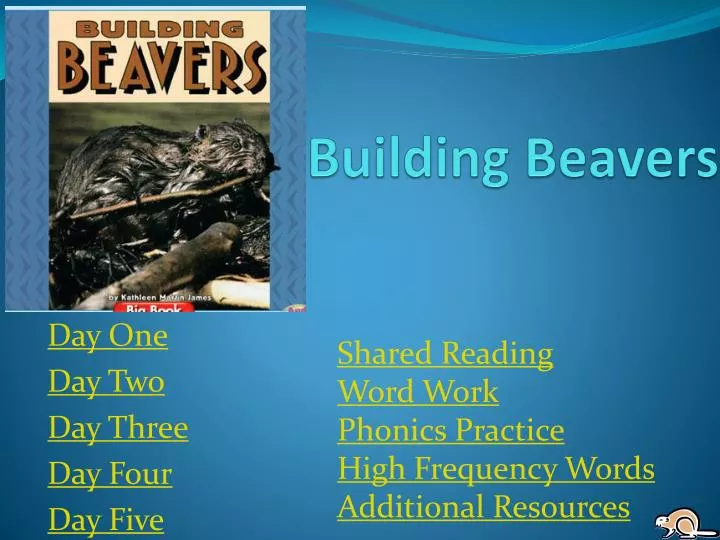 building beavers