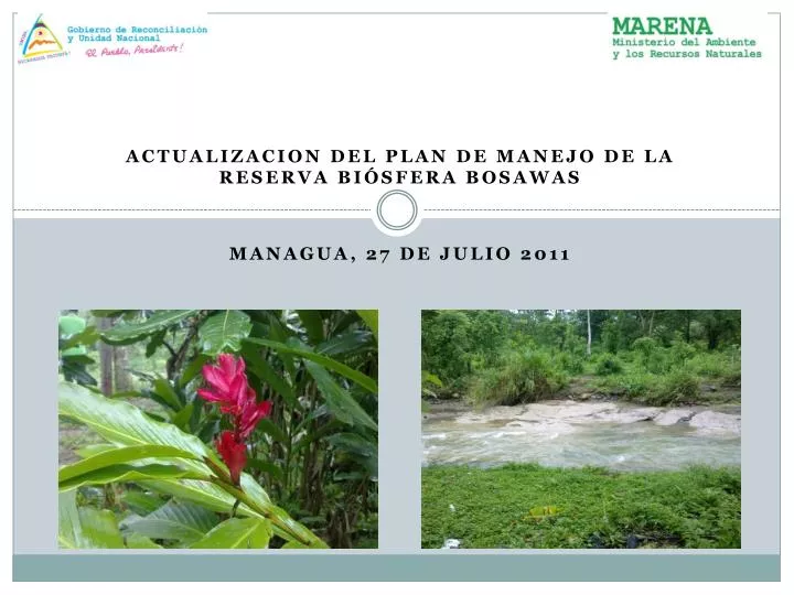 actualizacion del plan de manejo de la reserva bi sfera bosawas managua 27 de julio 2011