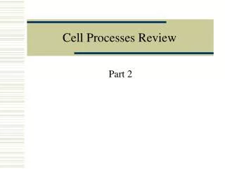 Cell Processes Review