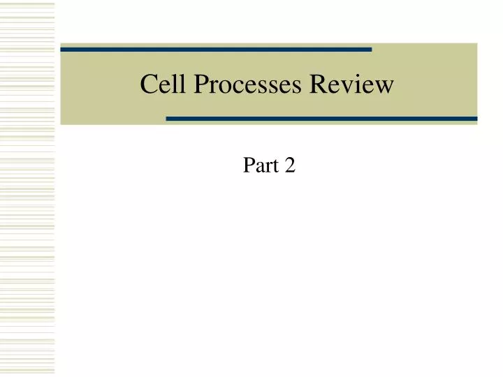 cell processes review