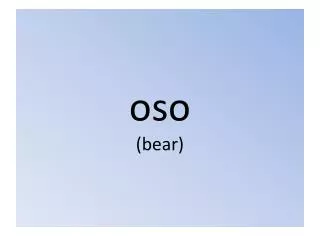 oso (bear)