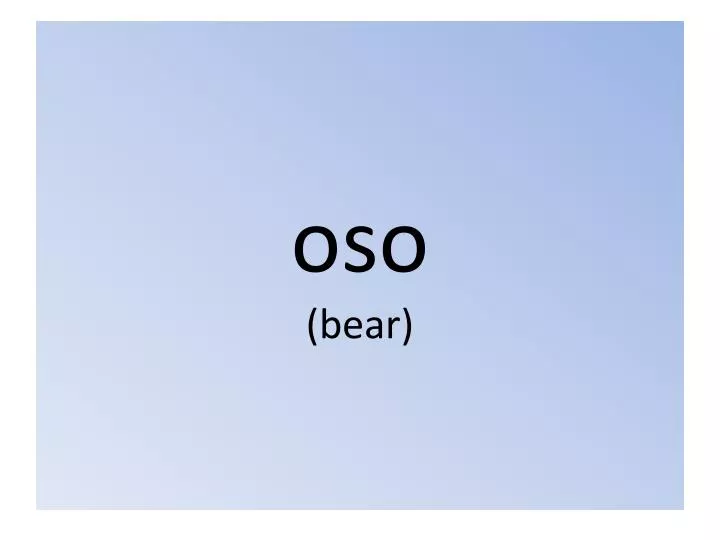 oso bear