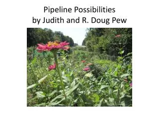 Pipeline Possibilities by Judith and R. Doug Pew