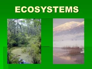 ecosystems