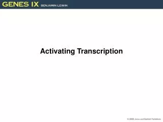 Activating Transcription